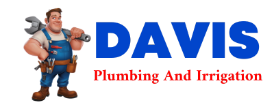 Trusted plumber in SAREPTA